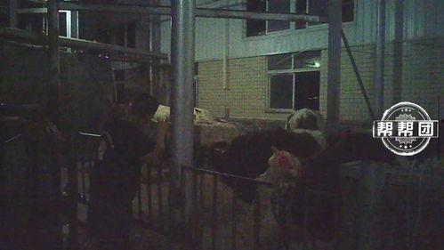 橙衣男子爆料视频大全,揭秘事件真相与幕后黑幕