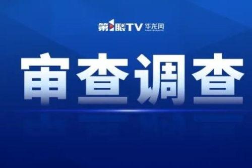 自媒体微头条在哪发,自媒体微头条的诞生与崛起之路