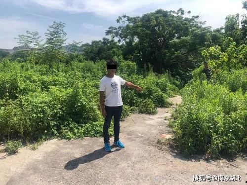 吃瓜群众被拘留视频,吃瓜群众围观瞬间被捕捉