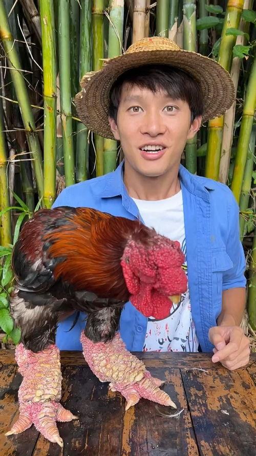 挑战理性吃瓜,揭秘网络舆论背后的真相与误区