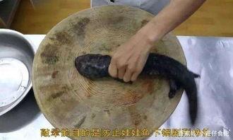 网红自己做料理视频,自制美食视频幕后揭秘