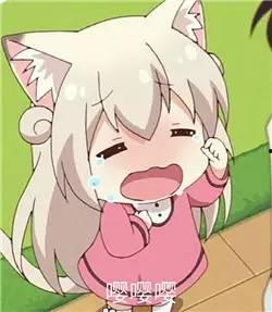 看料啦漫,揭秘网络漫画的无限魅力与创作奥秘