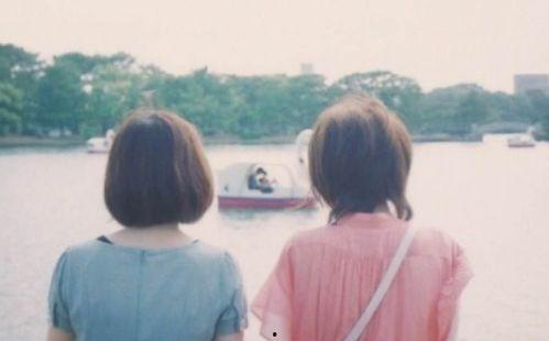 网红友情短句,温馨短句汇聚真挚情感