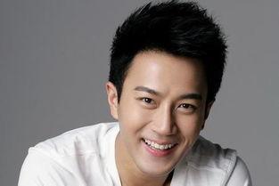 1994年男明星,1994年闪耀荧屏的男明星风采回顾