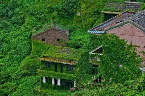 六十公里的网红村落,探寻六十公里网红村落的魅力足迹