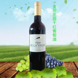 红金羽官网,探索时尚潮流，尽享品质生活新体验