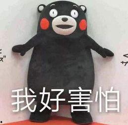 盘点吃瓜的老六,揭秘网络热议背后的神秘角色