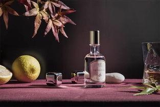 网红事瓶,揭秘网络红人的崛起与影响力