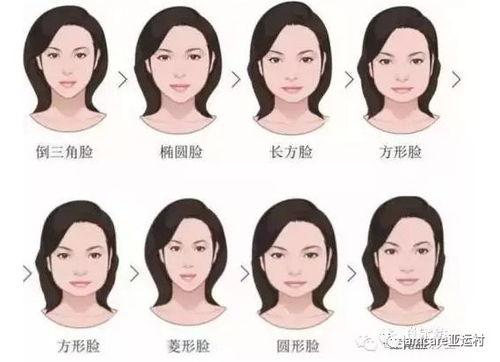 明星有三角脸,独特魅力与时尚演绎