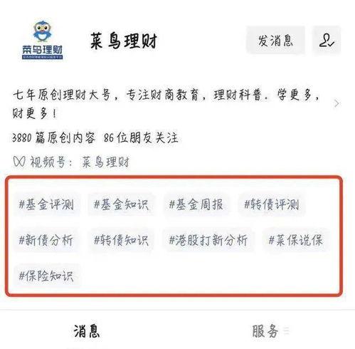 网红股票最新评论文章,最新评论揭示投资风向标