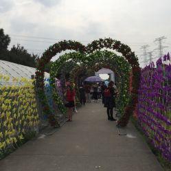 明星湾生态农庄灯光节,明星湾生态农庄灯光节盛况掠影