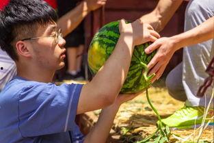 国产大学吃瓜视频,吃瓜视频背后的真实故事