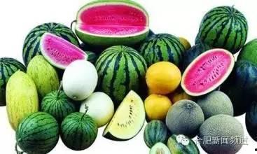 吃瓜的季节吃货,吃货的夏季狂欢季