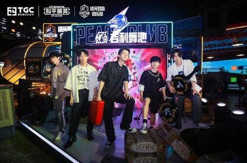 明星精英岛,璀璨星光下的梦幻乐园