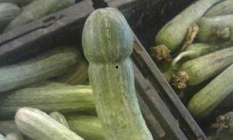 瑞幸的瓜怎么吃