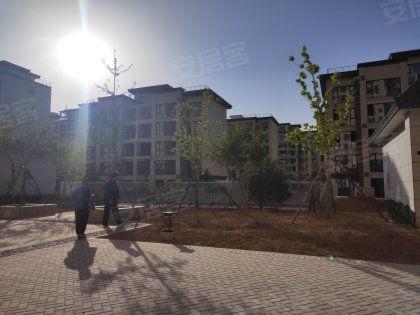 翰林府吃瓜现场解说,揭秘宫廷秘闻，笑谈权谋风云