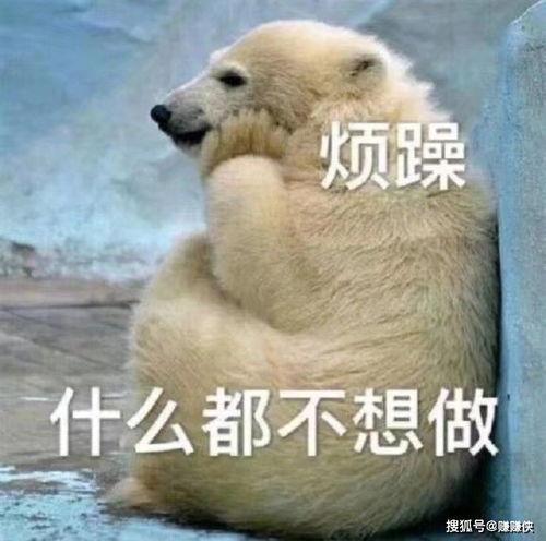 头像动物吃瓜群众图文