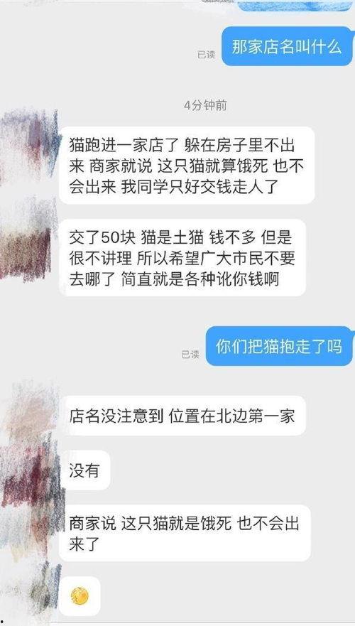 新兴宠物店爆料视频,独家爆料视频带你探秘宠物行业新趋势