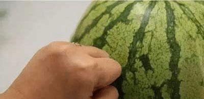 吃瓜群众挑瓜技巧,瓜界达人教你轻松挑出完美瓜果