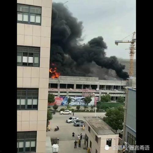 浙江台州最新爆料,揭秘台州神秘事件背后的真相
