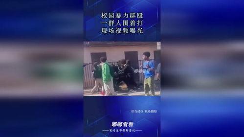 一群人爆料视频大全,真实事件背后的惊人真相