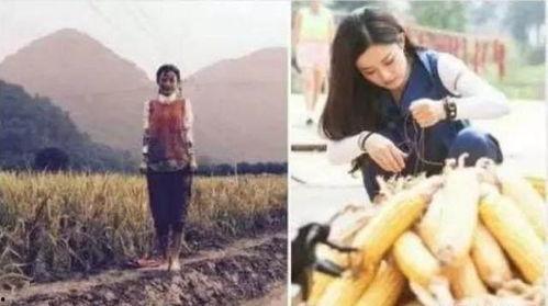 给明星干活,揭秘明星背后的辛勤付出