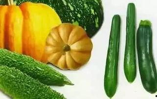 聂风吃瓜,揭秘娱乐圈背后的那些事儿