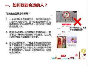 网红鉴定,如何辨别网络红人的真实魅力