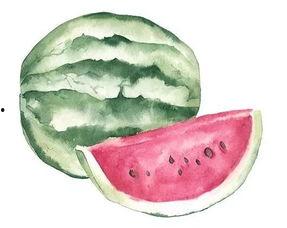 副宫主吃瓜,宫廷秘闻大揭秘