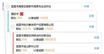 夷陵区殷家坪新闻头条,殷家坪社区发展新动态，聚焦民生改善与乡村振兴