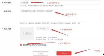 头条怎么开通收益最好的,揭秘开通最佳收益的秘籍