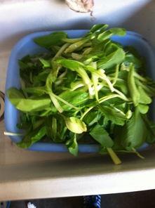 吊瓜好吃吗咋吃,吃法多样，尽享舌尖盛宴